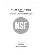 NSF P-Tert-Butylphenol  - 2010