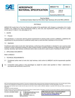 SAE AMS2431/8C